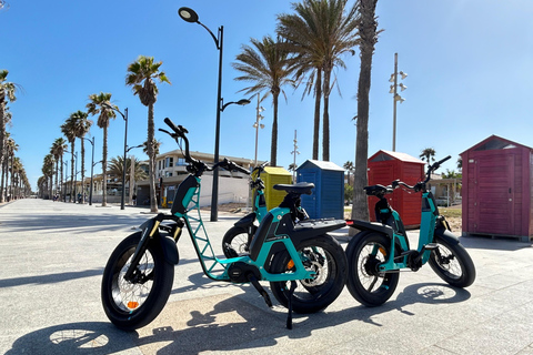 Valencia all in one: beaches, old town & city arts by E-bike Private Tour All in One E-Bike