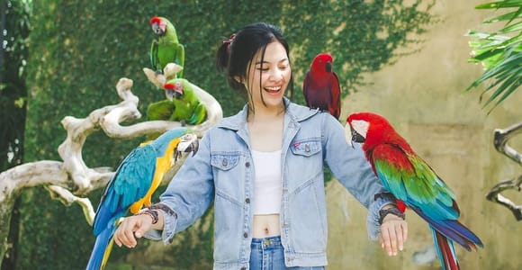 Bali Bird Park Entry Ticket with Shows & 4D Cinema