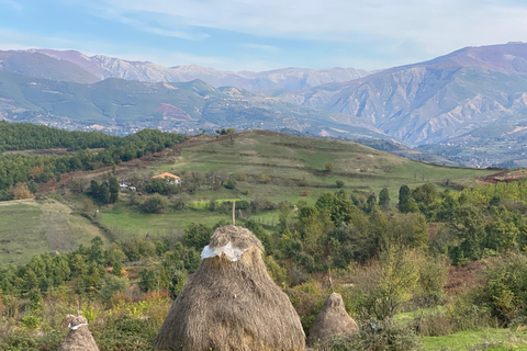 From Tirana/Durres: THINK GLOBAL, ACT AS A LOCAL