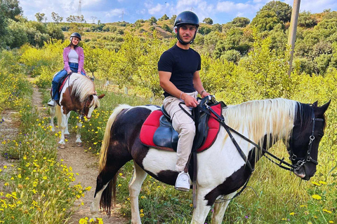 Catania: Guided Horseback Ride in Misterbianco Countryside