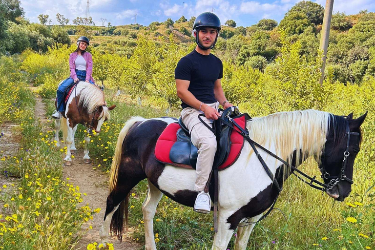 Catania: Guided Horseback Ride in Misterbianco Countryside