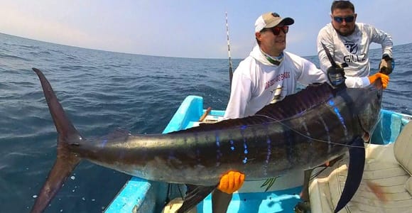 Los Cabos: Fishing Experience
