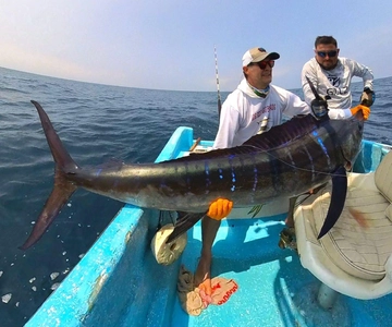 Los Cabos: Fishing Experience