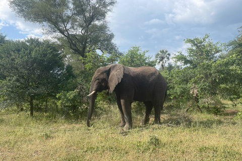 Victoria Falls Zimbabwe Hidden Gems Adventure