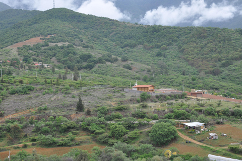 Mountain bike elettrica a OaxacaMountain bike a Oaxaca