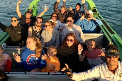 Panama City: Sunset Tour with Dolphin Watching Panama City: Sunset Speedboat Tour with Dolphin Watching