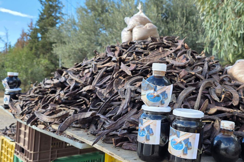 Cultural and culinary tour from Tunis