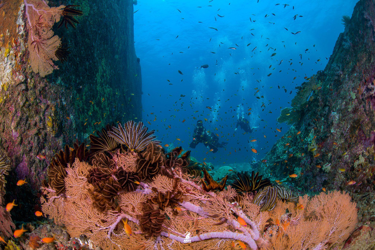 Vanuit Khao Lak: Duiktrip Similan Eilanden