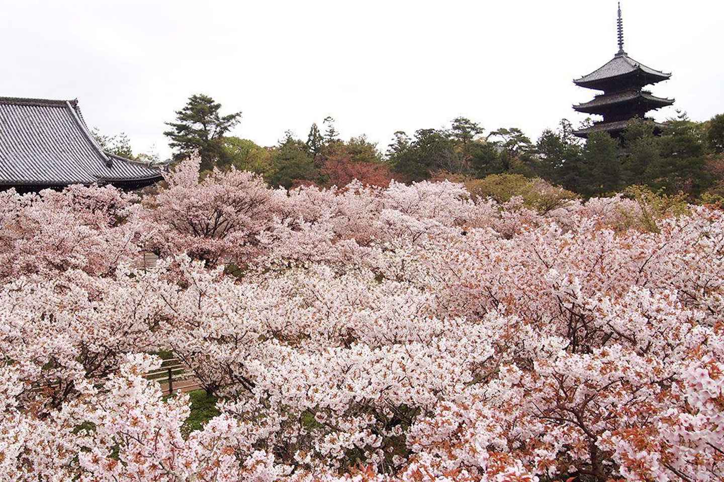 Itinerary gallery 3