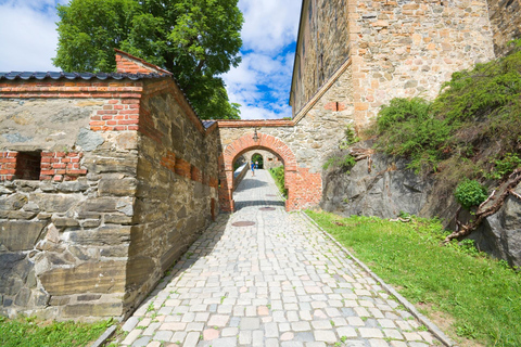 Akershus Fortress & Norway Home Front Museum Private Tour 2-hour: Akershus Fortress Tour