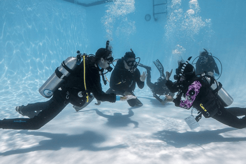 Discover Scuba Diving Beginner Scuba Lessons in Vancouver