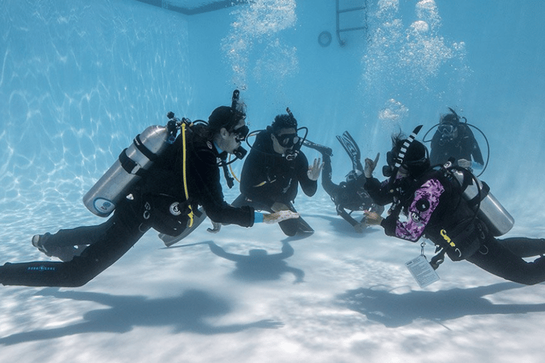 Discover Scuba Diving Beginner Scuba Lessons in Vancouver