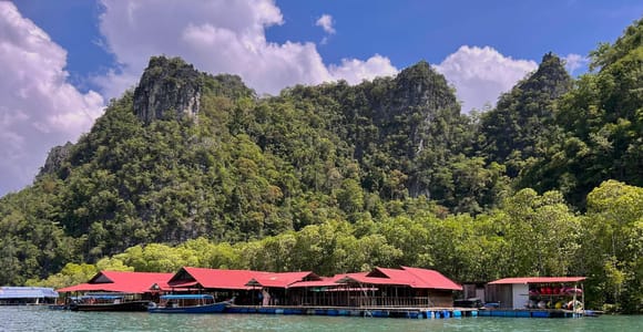 Langkawi: Kilim Geoforest Mangrove Tour with Fishing Trip