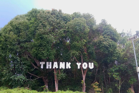 Bintan car charter + Driver Bintan Car Rent