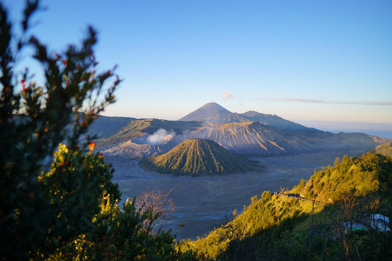 Au départ de Malang : excursion d&#039;une journée au mont Bromo en communAu départ de Malang : excursion privée d&#039;une journée au mont Bromo