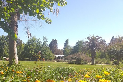 Matetic Winery Tour
