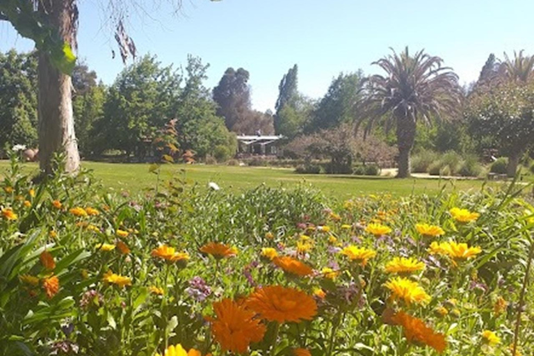Matetic Winery Tour