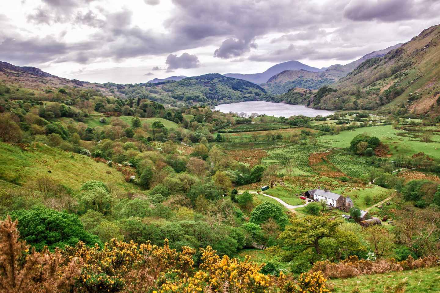 From Liverpool: North Wales Day Trip with Driver-Guide