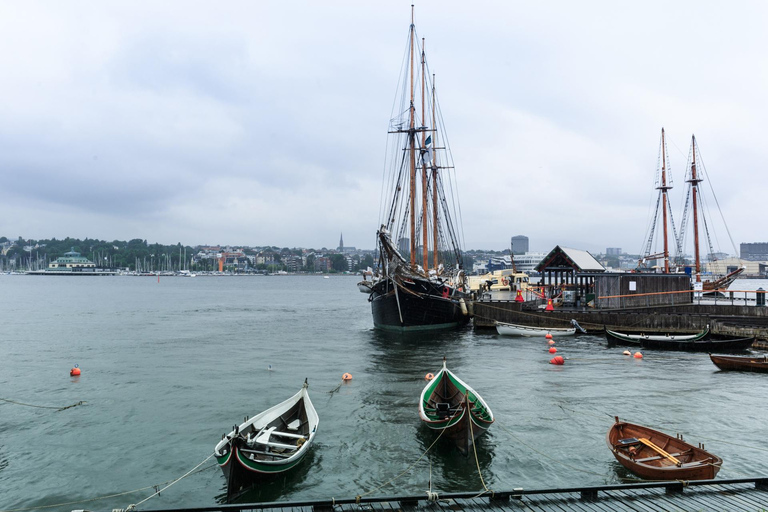 Skip-the-line Fram Museum Oslo Private Tour with Tickets 2-hour: Fram Museum