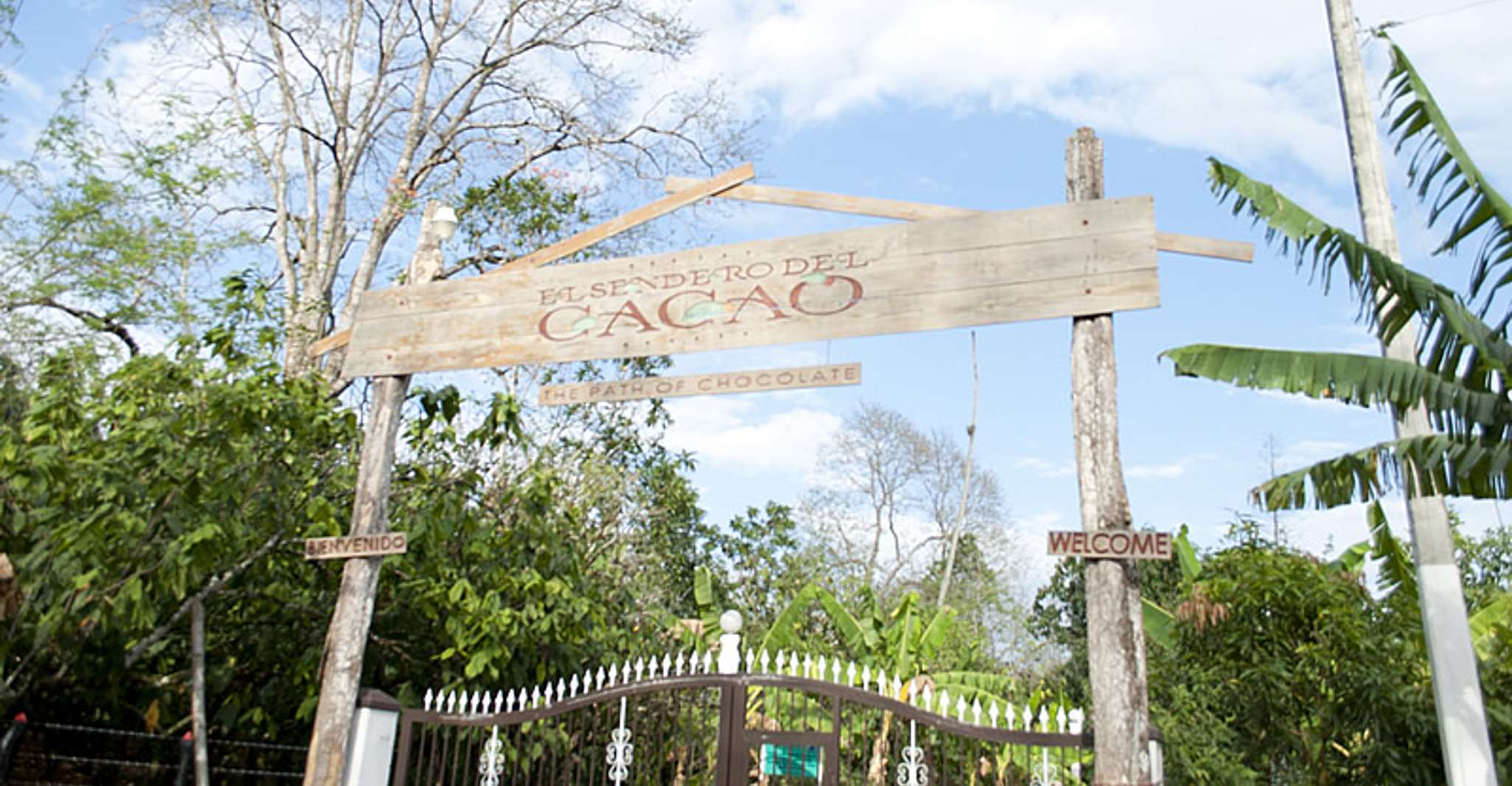 Dominican Republic, 3-Hour Chocolate Lovers Tour - Hizvo