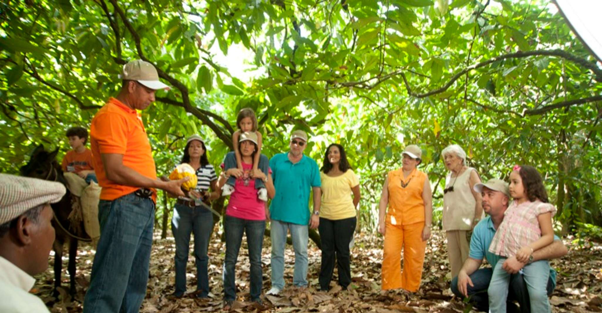 Repubblica Dominicana, Tour degli amanti del cioccolato di 3 ore - Hizvo