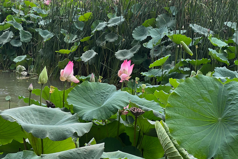 Muscat: Wadi Shab Hike and Bimmah Sinkhole Tour with Lunch Muscat: Wadi Shab Hike and Bimmah Sinkhole Tour with Lunch