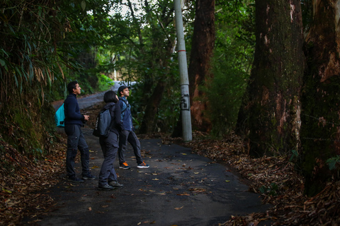 Birding Medellin z ekspertem obserwującym ptaki (prywatnie)