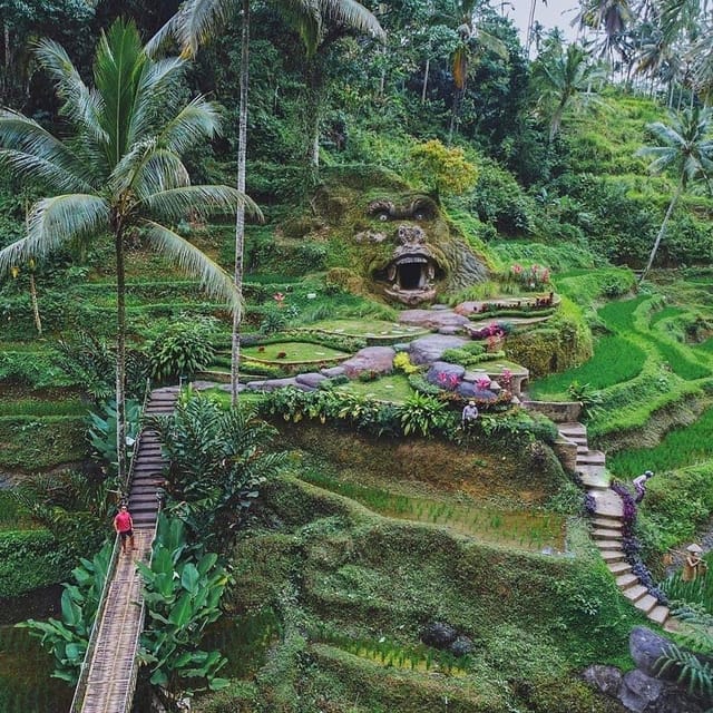 Bali : Ubud Terrace Rice Field, Swing & Ubud Palace | GetYourGuide