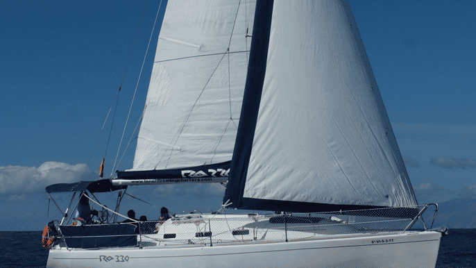 tenerife 3hour private yacht with whale dolphin watching