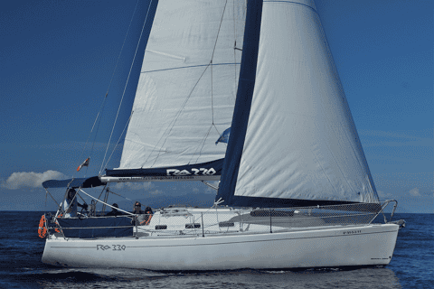 Full-Day Private Sailing and Marine Life Charter in Tenerife
