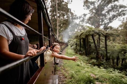 Melbourne: Puffing Billy Steam Train &amp; Penguin Parade Tour