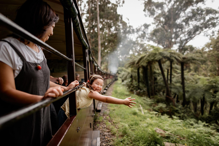 Melbourne: Tren de Vapor Puffing Billy y Desfile de los PingüinosMelbourne: Tren de vapor Puffing Billy y Desfile de pingüinos