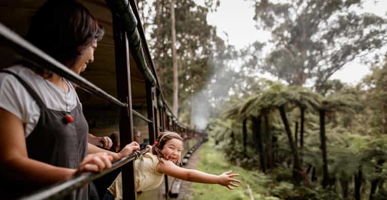Melbourne: Puffing Billy Train & Penguin Parade Adventure
