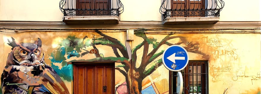 Grenade : « Street Art & Les Grottes » Visite guidée unique à pied
