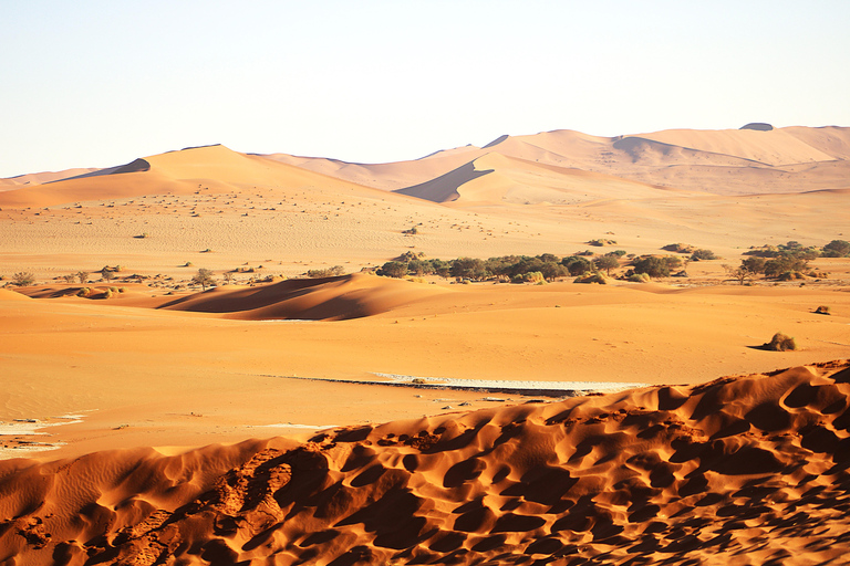 10 Days Taste of Namibia | Auto Tour Camping