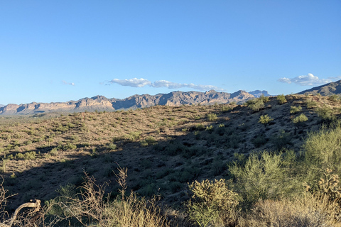 Mesa: Copper Mile Desert Hike