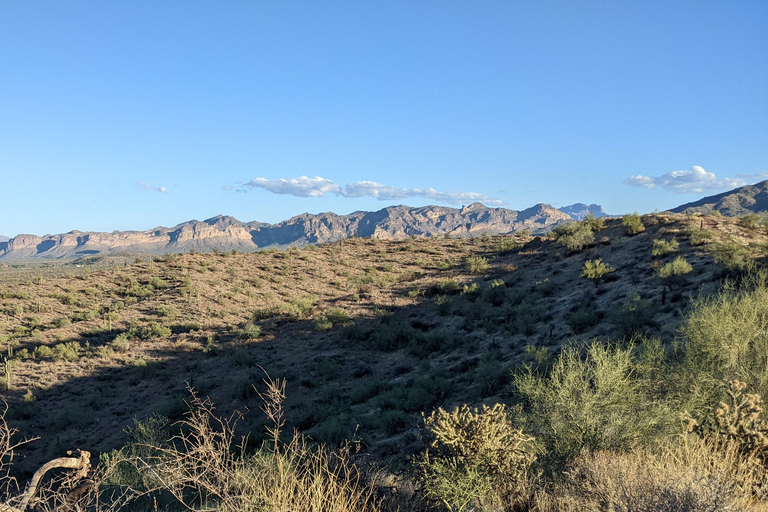 Mesa: Copper Mile Desert Hike