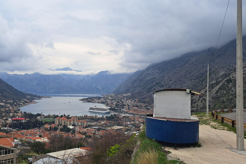 From Dubrovnik: Montenegro Full-Day Tour