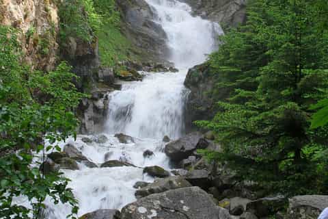 From Skagway: 3-Hour White Pass Summit Bus Tour