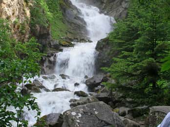 Ab Skagway: Tour auf den Gipfel des White Pass per Bus Ab Skagway: Tour auf den Gipfel des White Pass per Bus