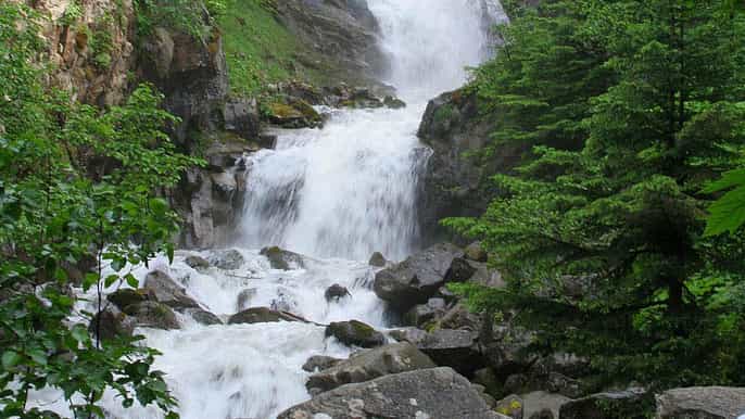 from skagway 3hour white pass summit bus tour