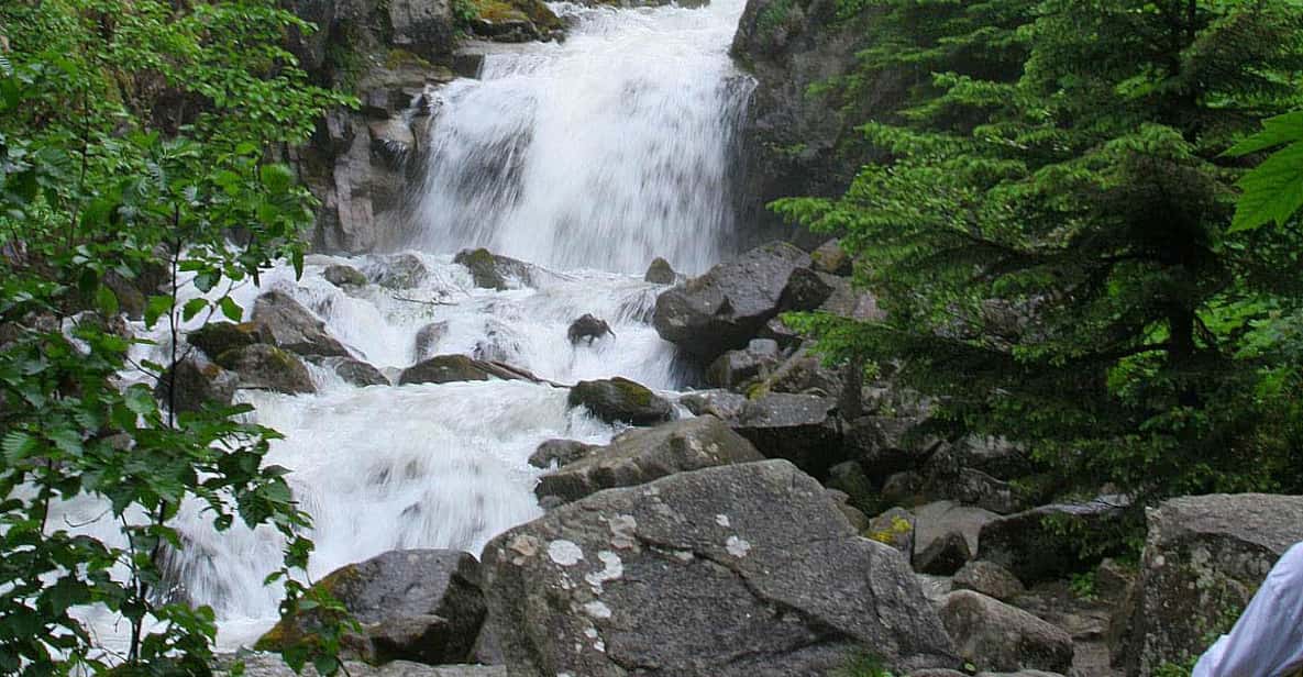 From Skagway: 3-Hour White Pass Summit Bus Tour