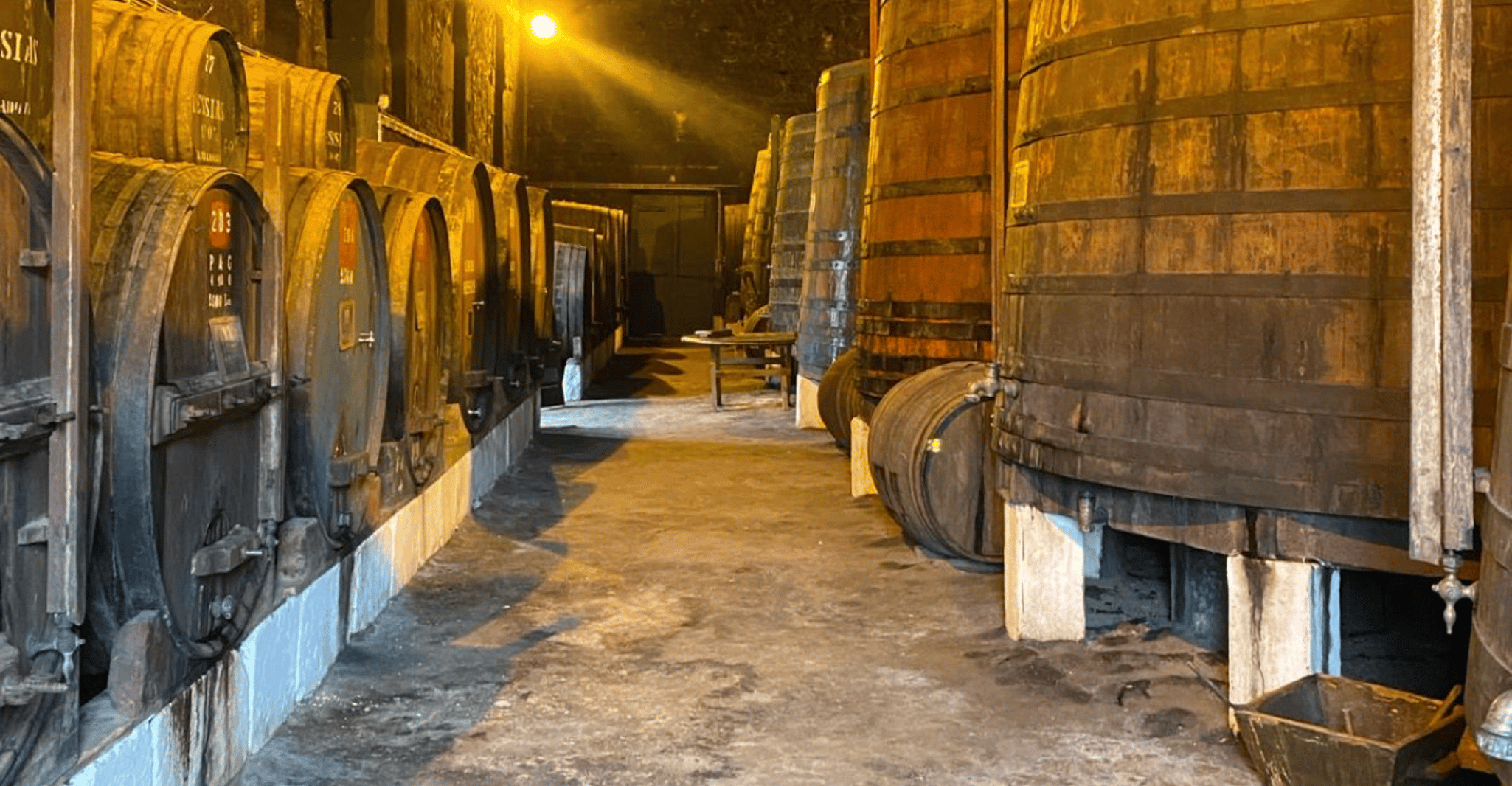 Porto, Private Douro Valley Tour, Yacth, Wine Taste & Lunch - Housity
