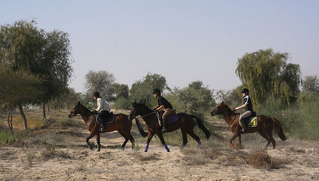 Paseo a caballo de 1 o 1,5 horas por el parque del desierto de Dubái