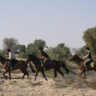 Passeio a cavalo de 1 ou 1,5 horas no Parque do Deserto de Dubai