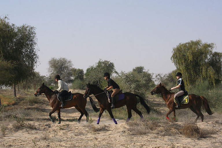 1 ou 1,5 heure d&#039;équitation dans le parc du désert de DubaïBalade à cheval d&#039;une heure dans le parc du désert de Dubaï