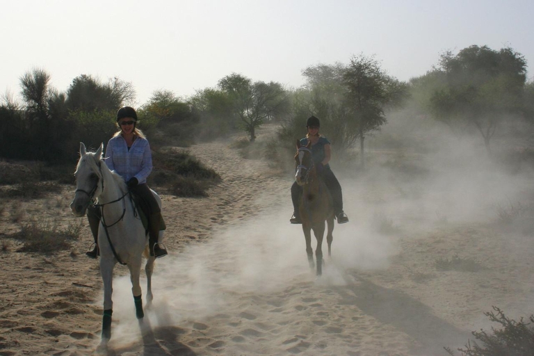 1 or 1.5 Hour Horseback Dubai Desert Park Ride 1-Hour Horseback Dubai Desert Park Ride