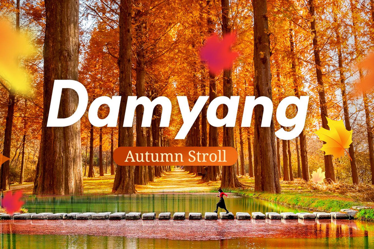 Busan: Damyang Juknokwon Bamboo Forest & Metasequoia Road Damyang Autumn Group Tour, Meet at Busan Subway Station