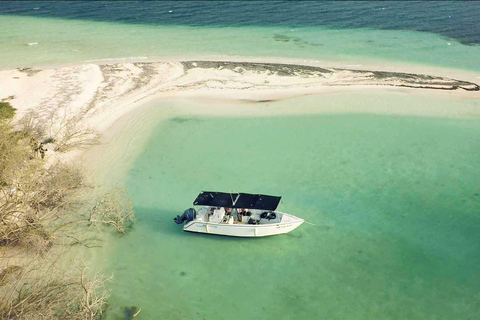 Sainte-Rose: Le Grand Cul-de-Sac Marin + Snorkeling + Meal by the Water Sainte-Rose: the large marine cul-de-sac + snorkeling + waterfront meal