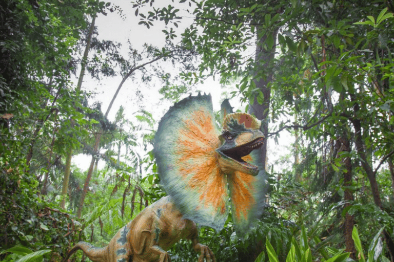 Guangzhou: Chimelong Safari Park Entry with Private Transfer Shenzhen | Private Transfer + Chimelong Safari Park Ticket